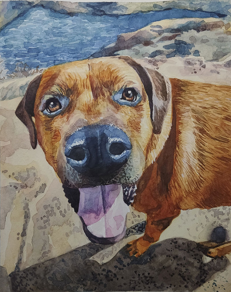 Close up handmade watercolor painting of a dog