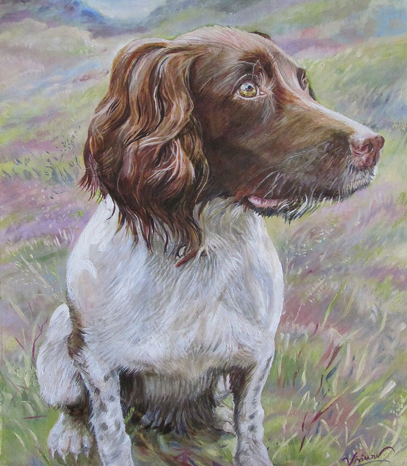 Painting of a liver and white Springer Spaniel sitting in a field.