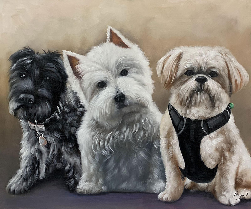 Painting of three dogs: a black schnauzer, a West Highland white terrier, and a Shih Tzu.
