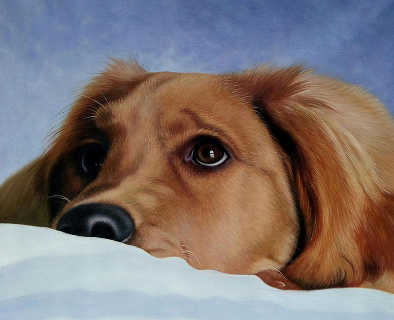 dog portraits on canvas