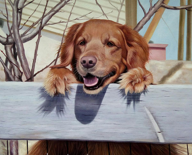 Golden retriever resting paws on a fence