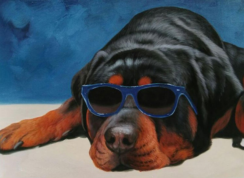 cute dog with blue sunglasses custom art