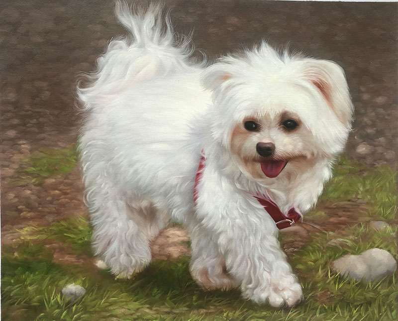 cute dog with red collar painting