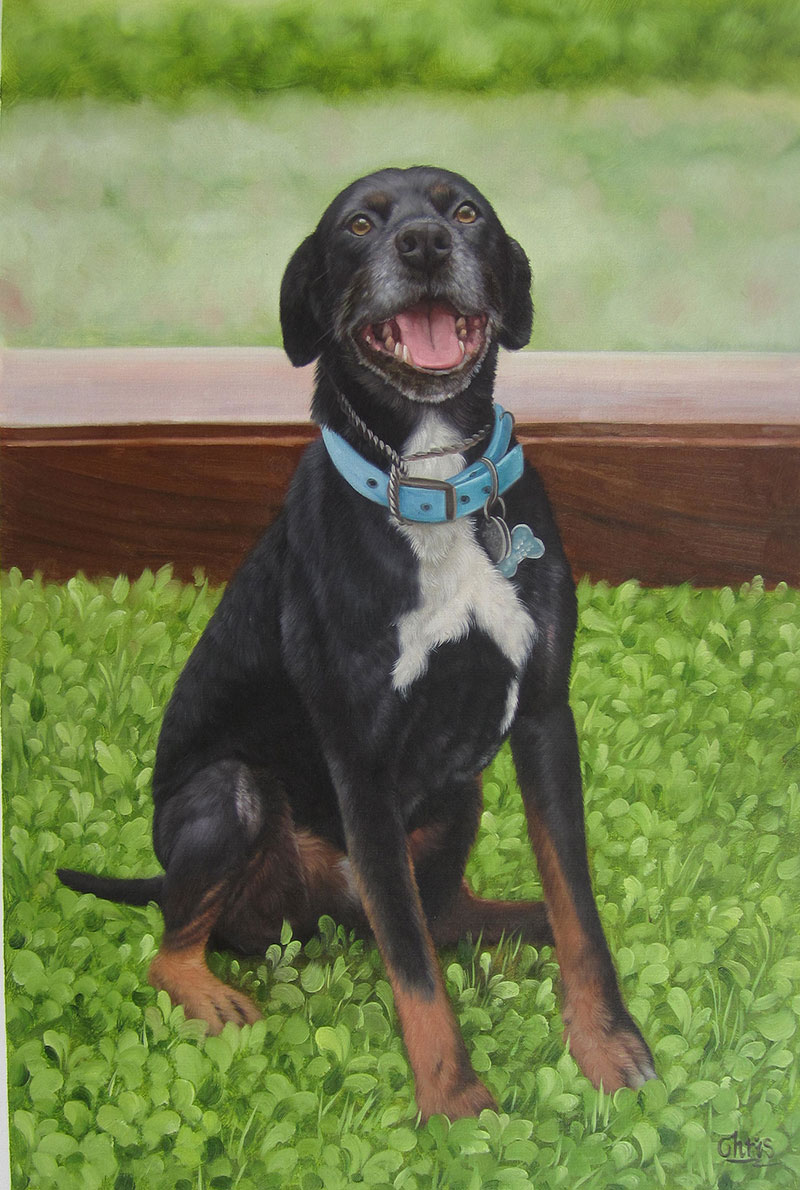 custom acrylic painting of black and white Mutt outdoors