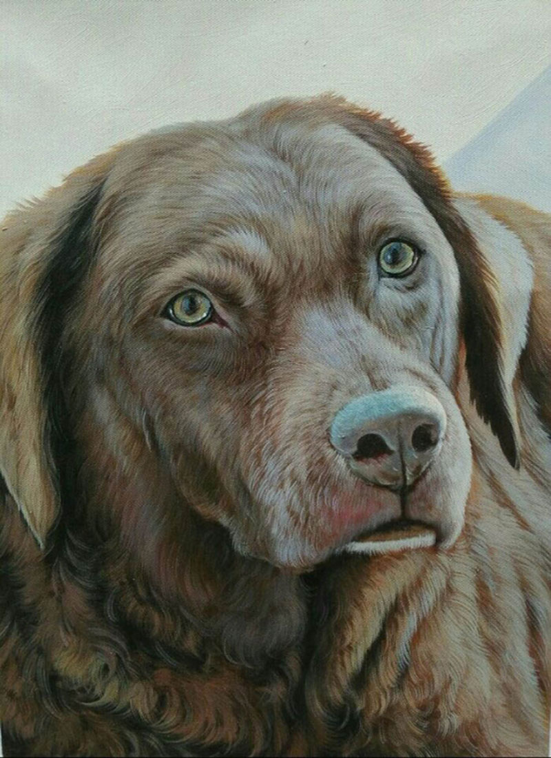 brown dog cute painting