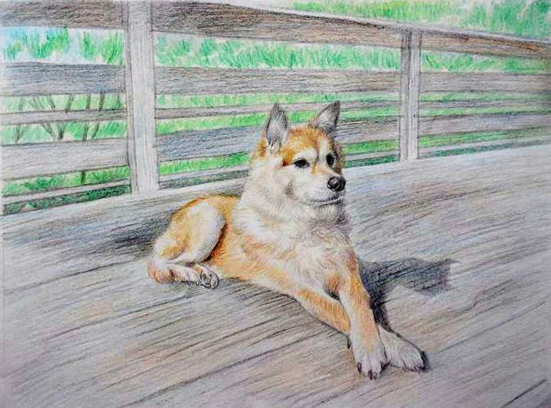 custom colored pencil drawing of a dog on a bridge