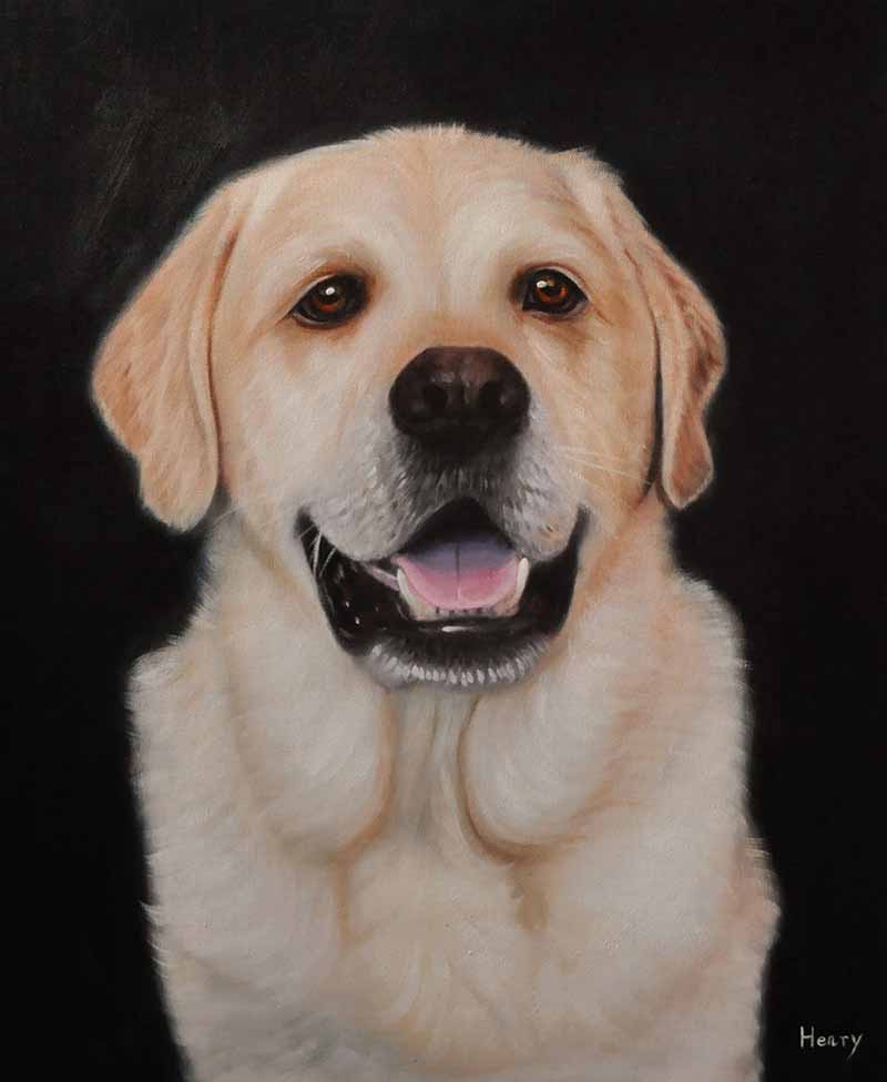 white labrador golden eyes oil high quality painting