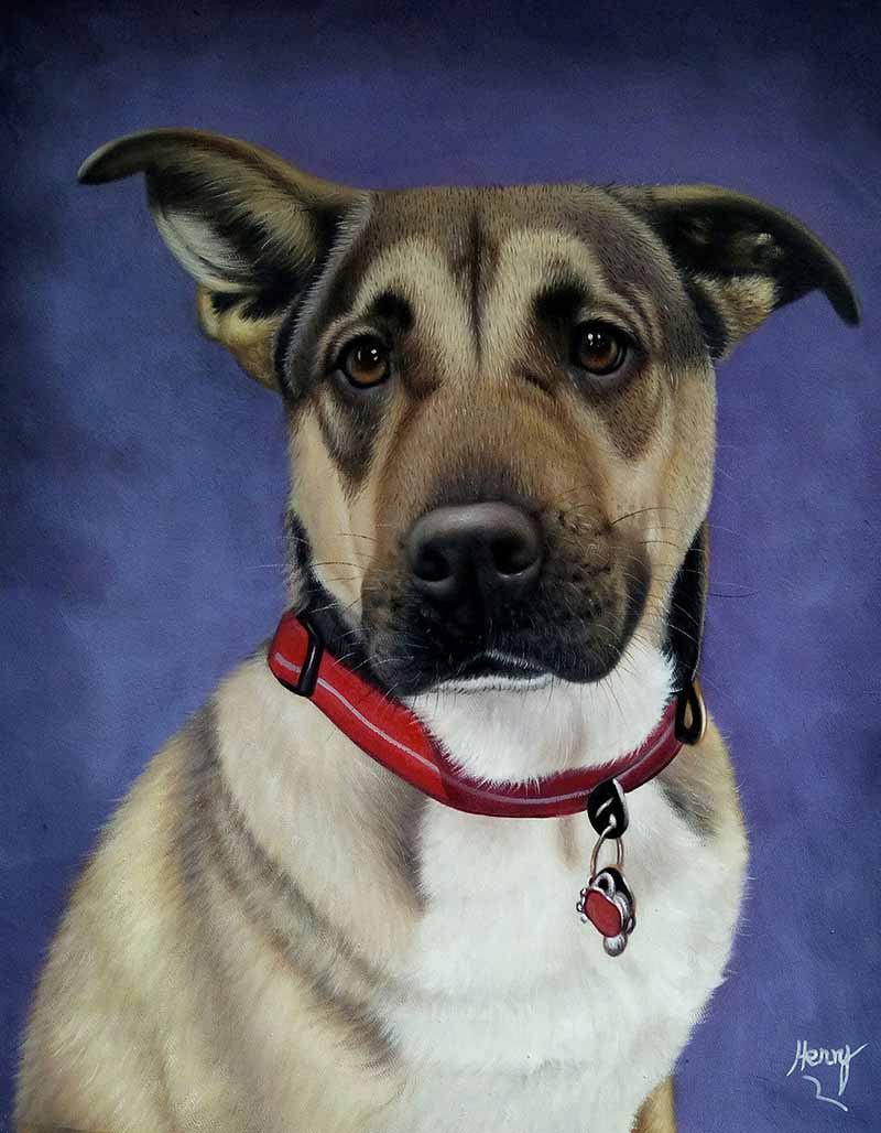 Very detailed oil portrait of a dog with red collar 