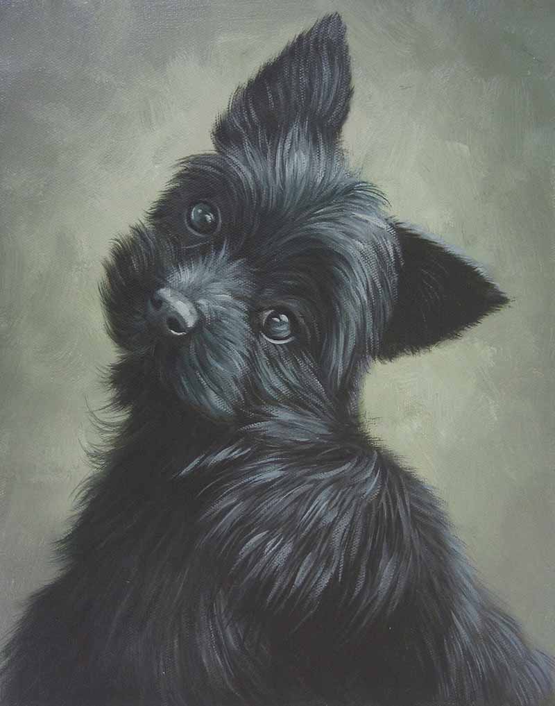 dog oil portrait black thoughtful 