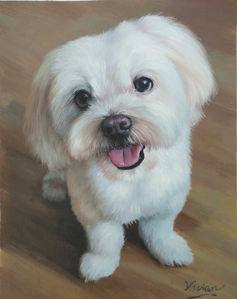 Cute white puppy portrait painting