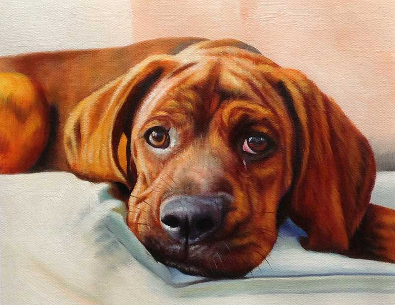 oil painting portrait cute brown beagle puppy
