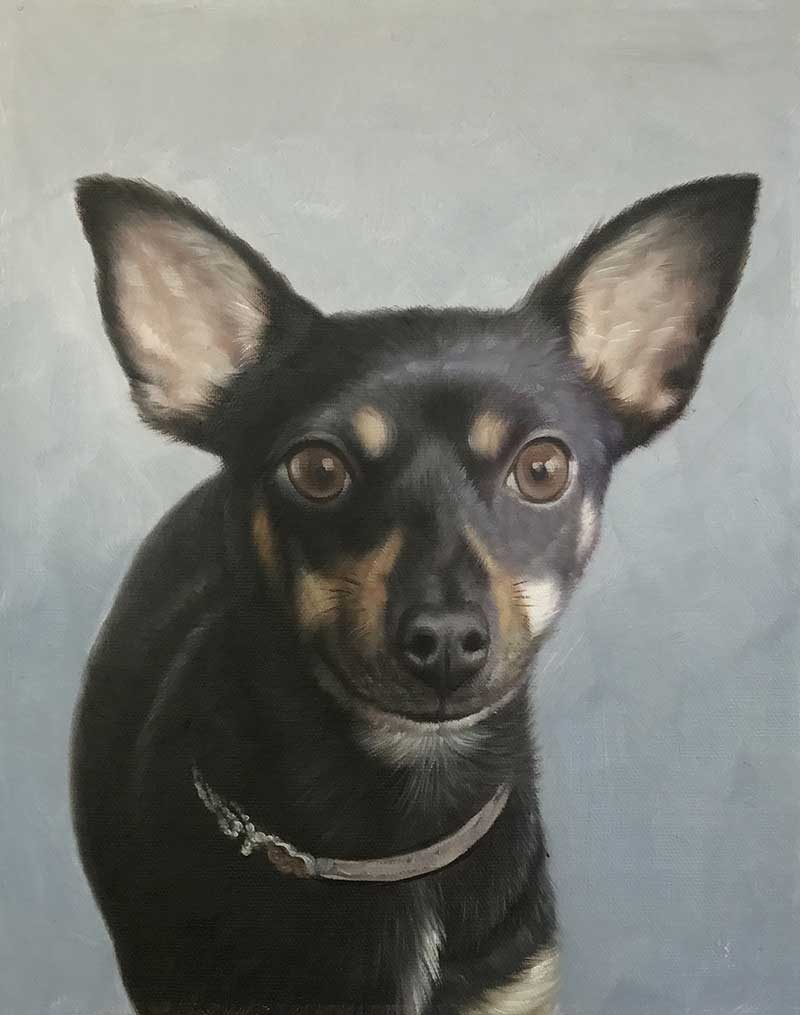portraits de chiens sur toile