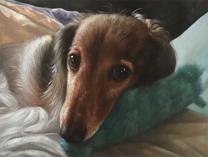 oil painting of a cute little Dachshund