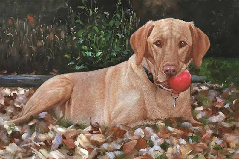 oil painting of a chocolate lab chewing on a red ball 