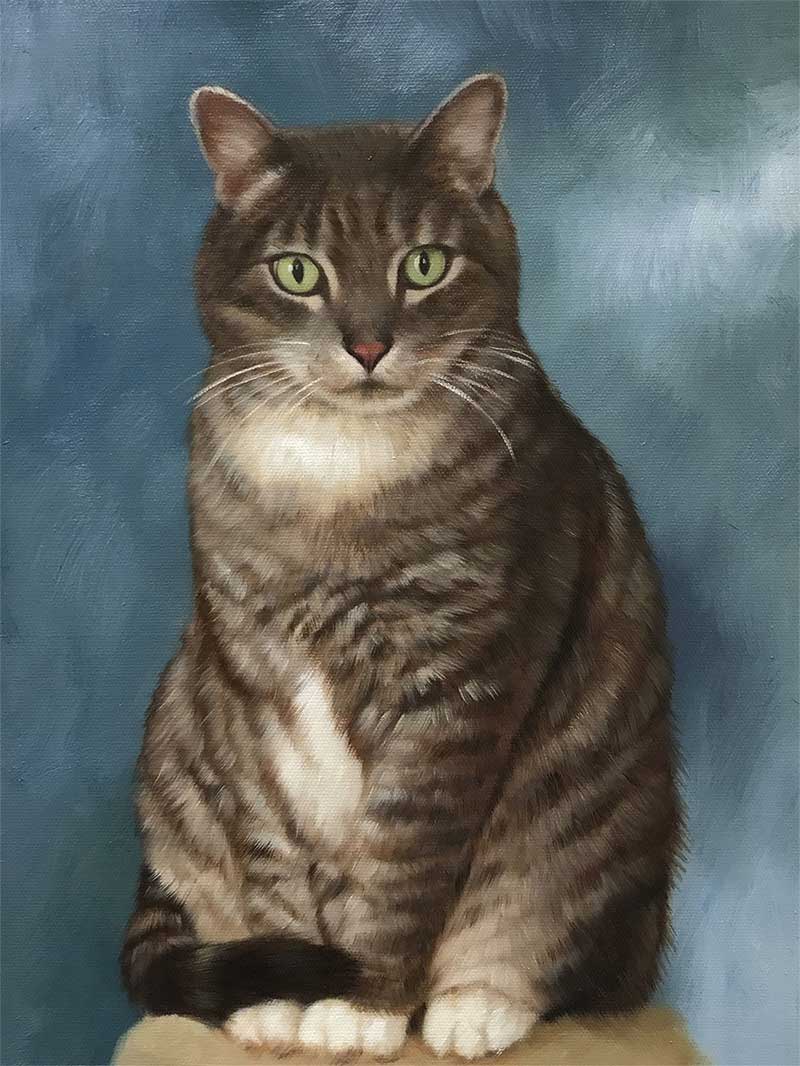 Retratos de gatos sobre lienzo
