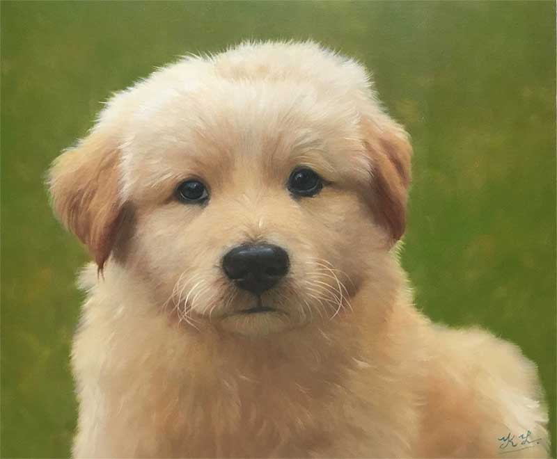 a cute painting of young pupper 