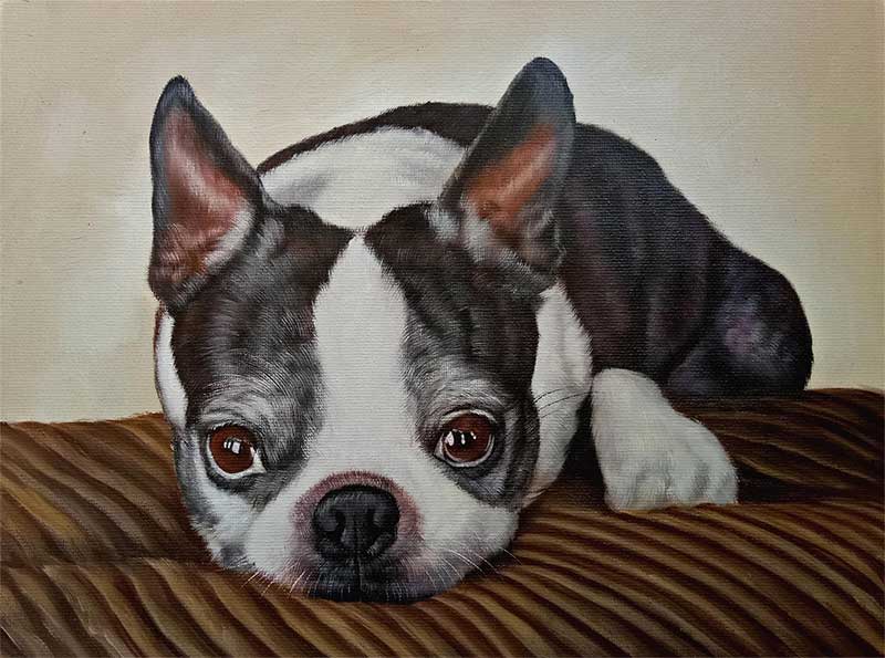 an oil painting of french bulldog lying on a sofa 