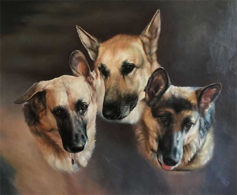 an oil painting portrait of three german shepherds 