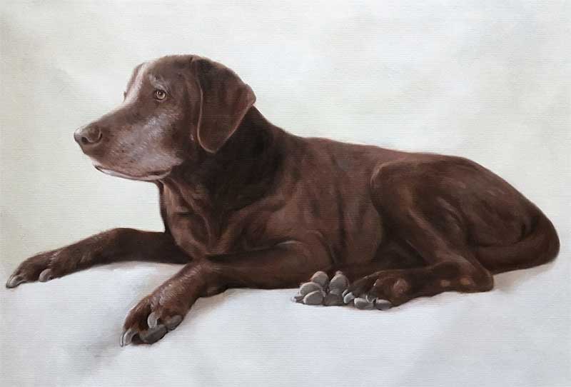 an oil painting of a dark brown lab labrador 