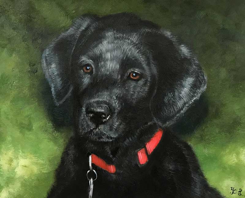 an oil painting of a black puppy lab Labrador green grass background 