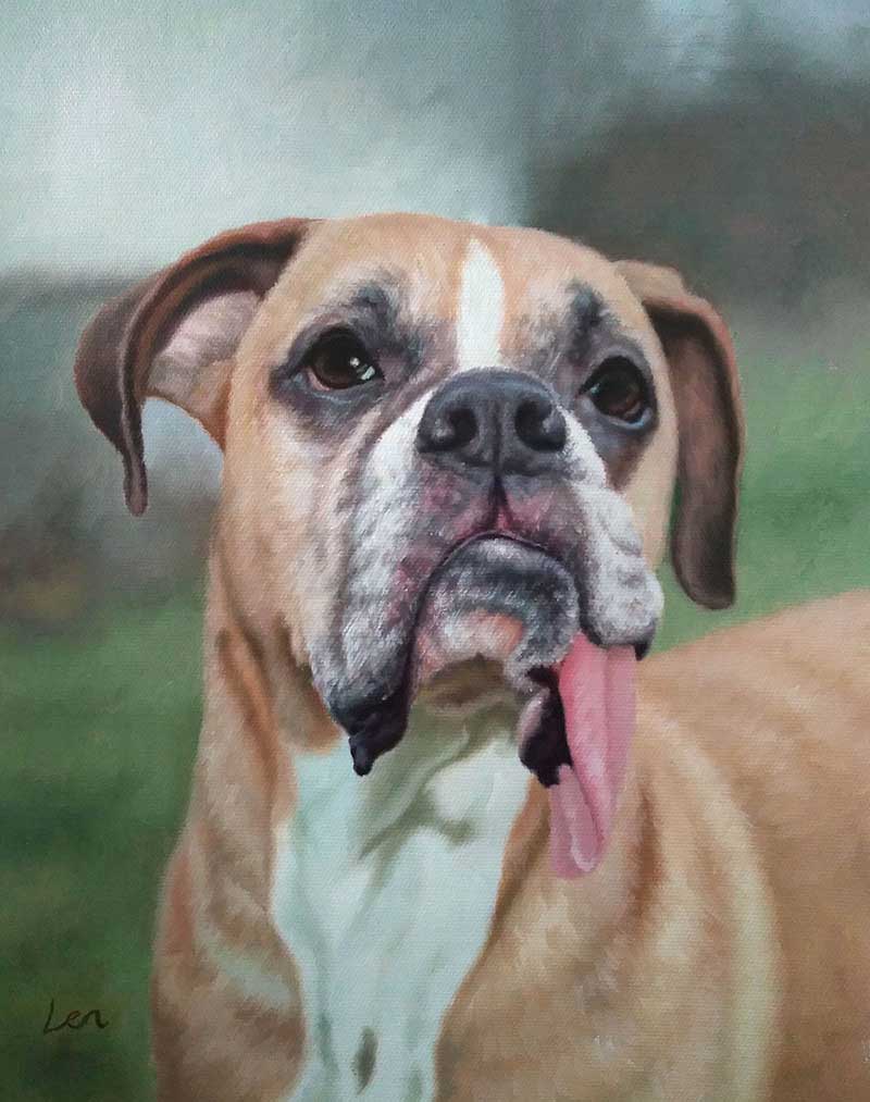 an oil painting portrait of light brown english british boxer 
