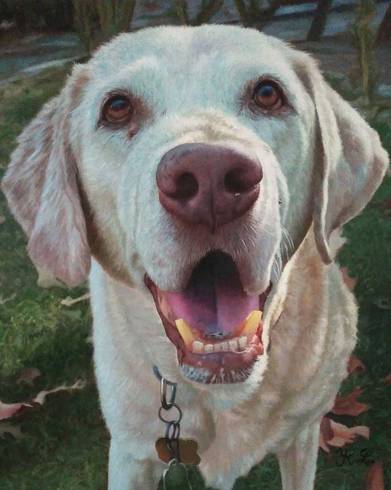 portraits de chiens sur toile