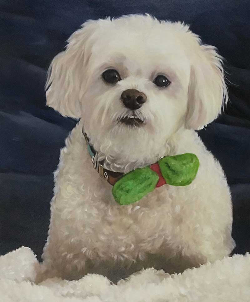 an oil painting of a white poodle Pomeranian with a green bow 