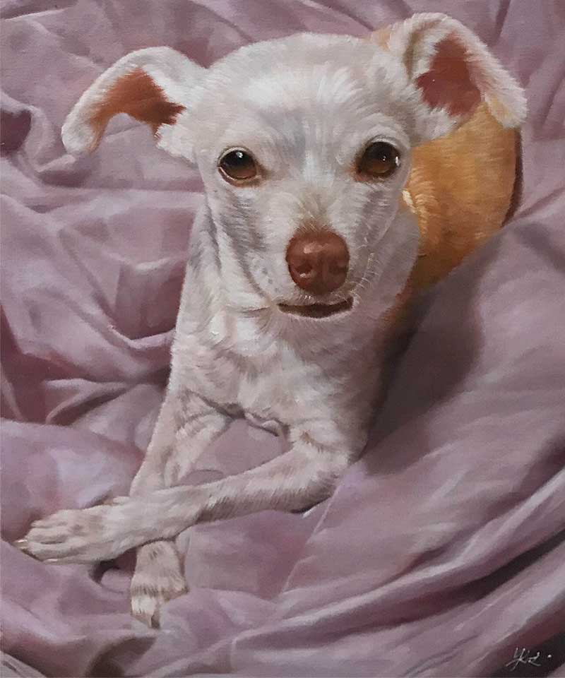 an oil painting of a little white dog on a purple blanket 
