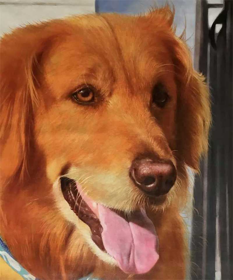an oil painting of a dark brown golden retriever smiling 