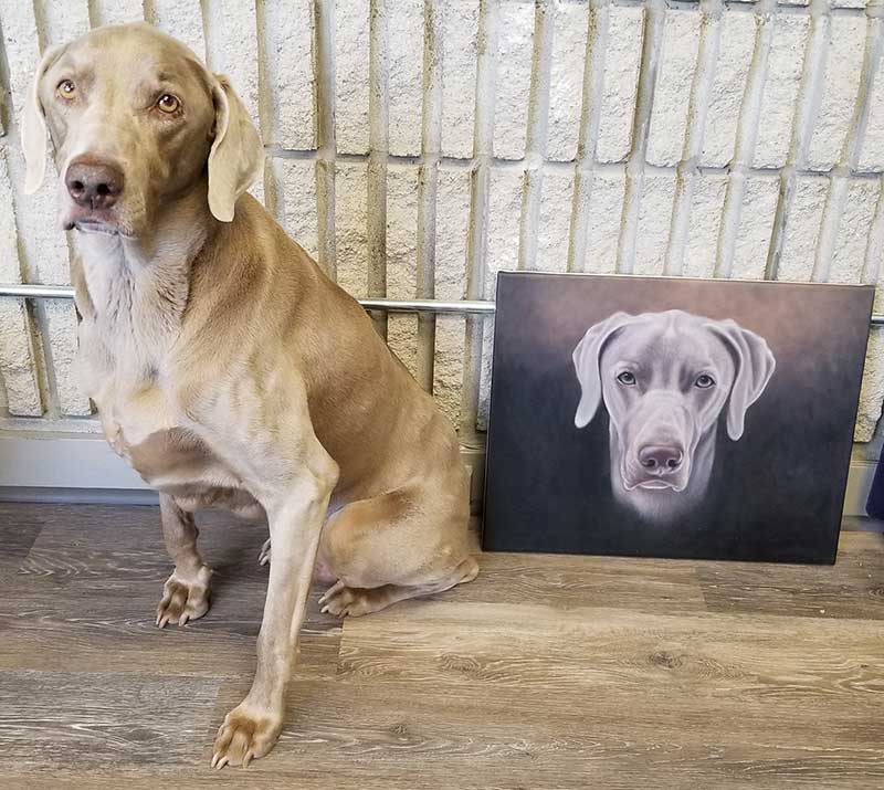 Weimaraner dog sitting beside its painted portrait.