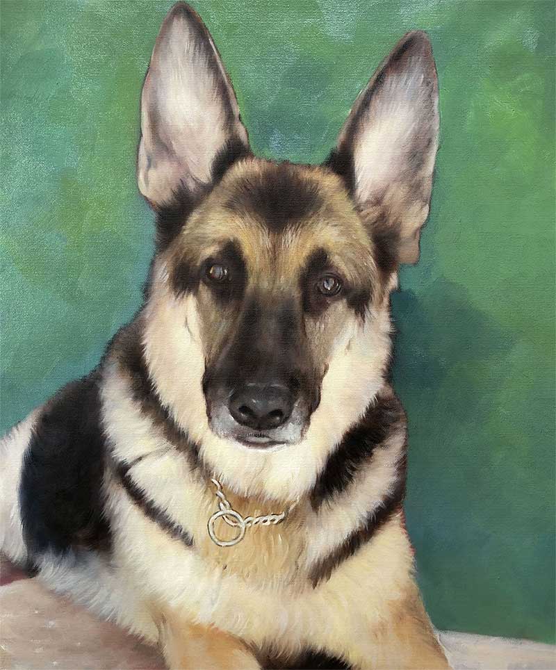 an oil painting of a german shepherd green background