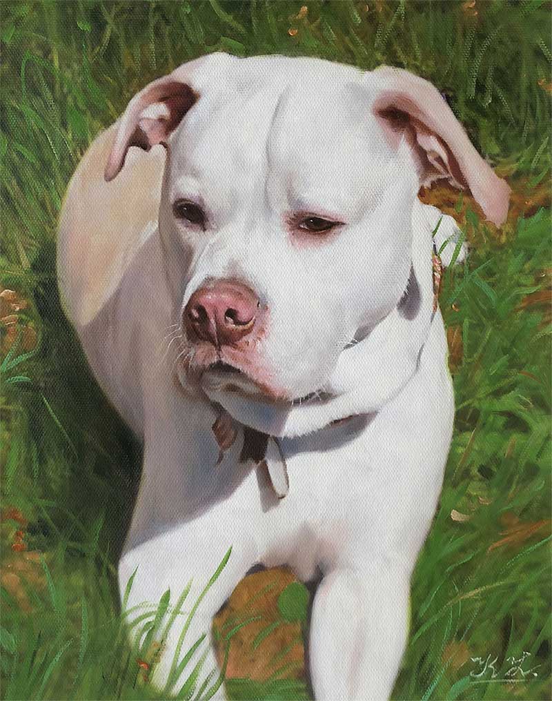 dog portraits on canvas