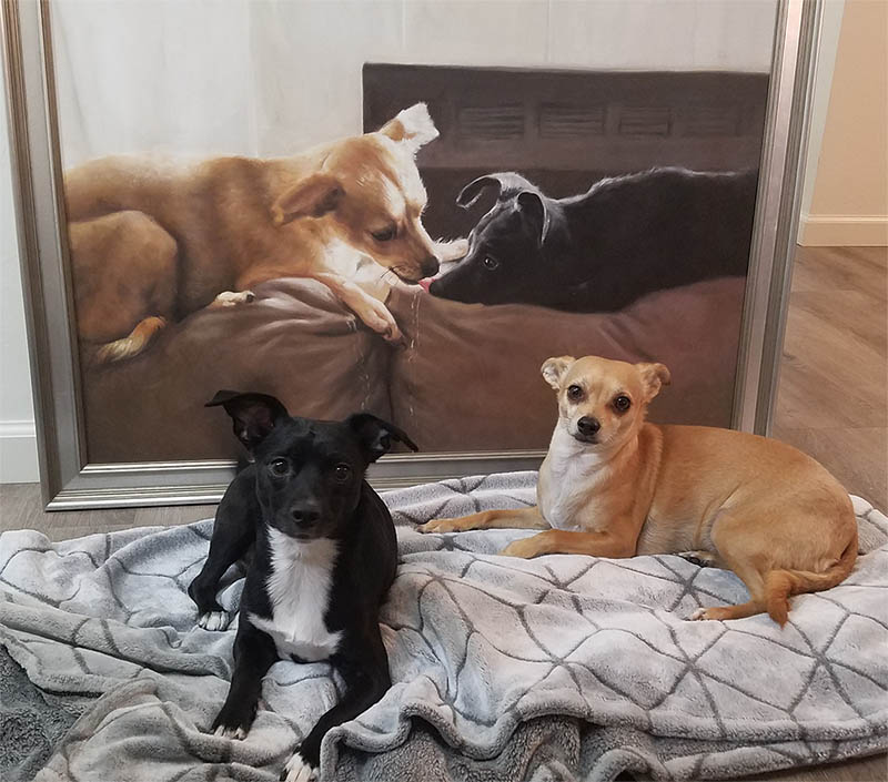 Framed painting of two dogs and two live dogs lying on a blanket in front of it.