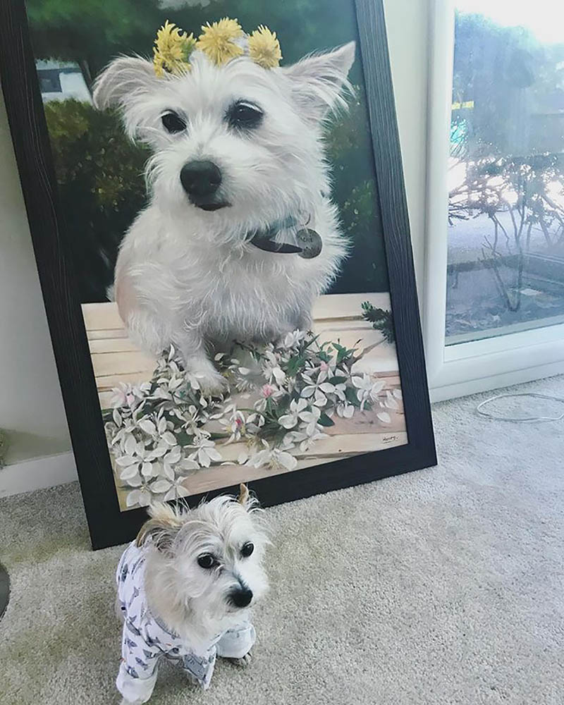 an oil painting of a tiny white rescue dog