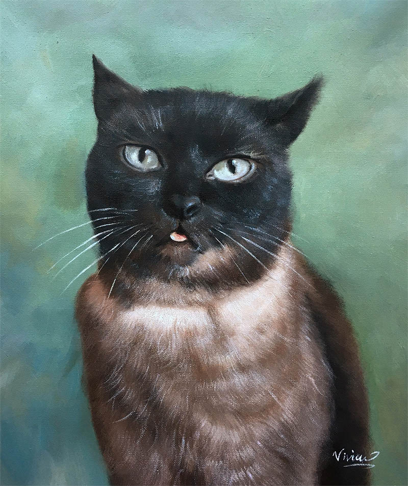 Retratos de gatos sobre lienzo
