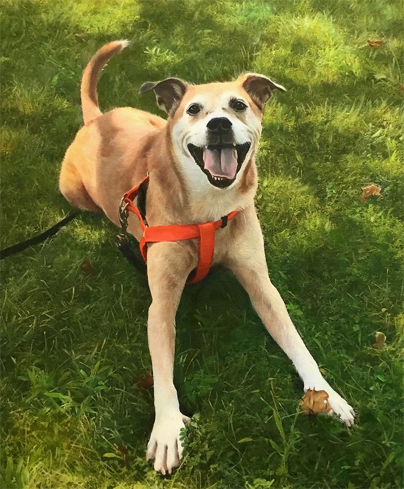 an oil painting of a light brown dog happy grass