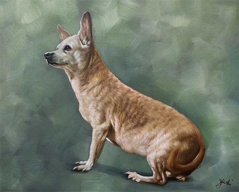 Painting of a light brown chihuahua sitting and looking to the left.