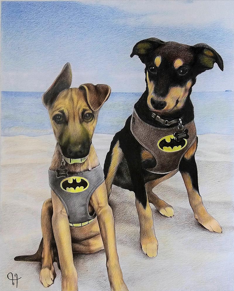 a color pencil painting of two dogs in a batman suit