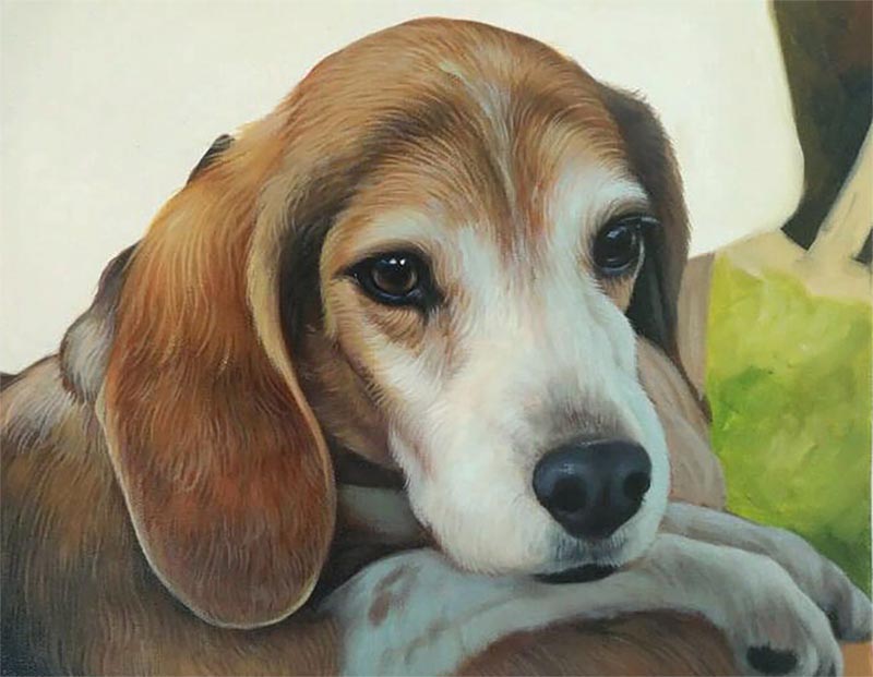 dog artwork of a beagle