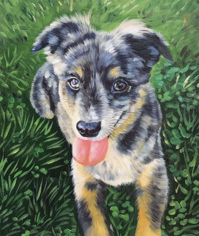 Painting of a blue merle puppy with its tongue out, sitting in green grass.