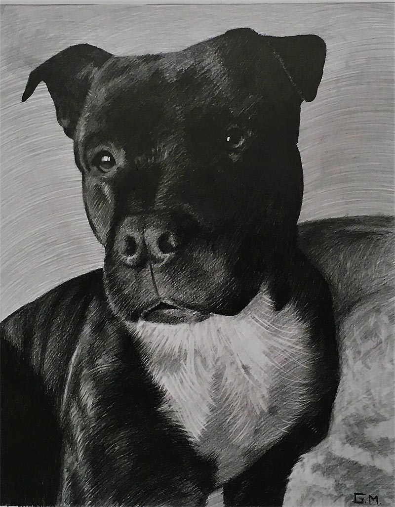 dog portraits on canvas