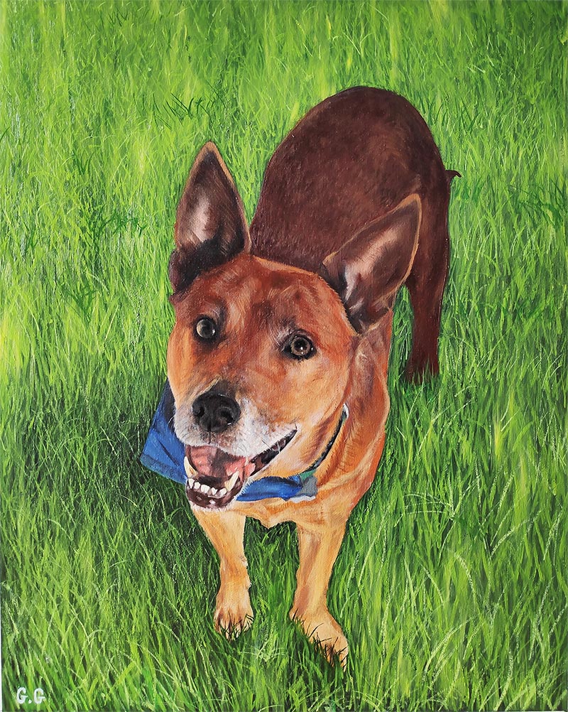 handmade oil painting of brown dog in grass