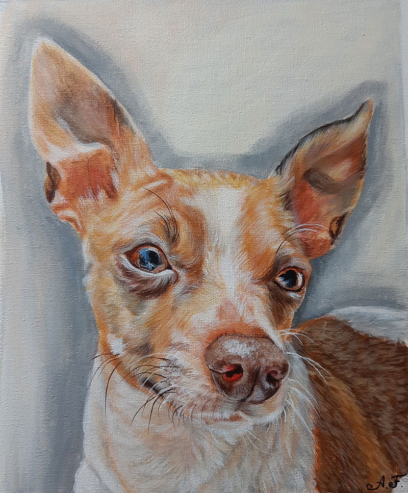 Hand Painted Acrylic Pet Painting - PaintYourLife