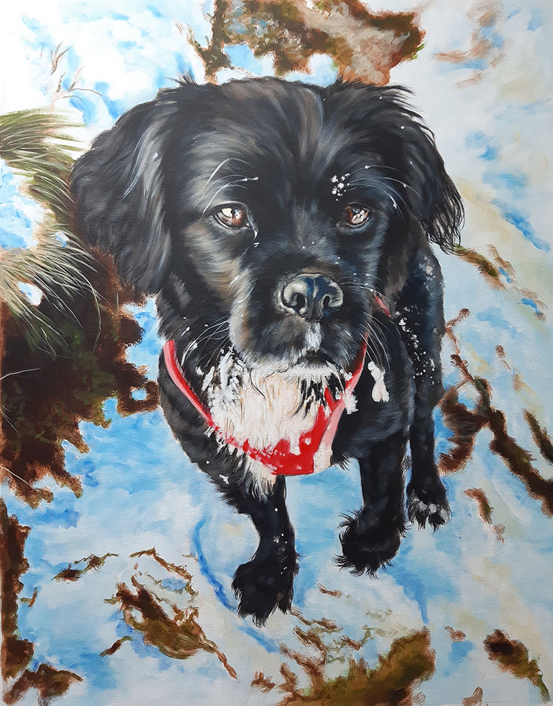 Hand Painted Acrylic Pet Painting - PaintYourLife