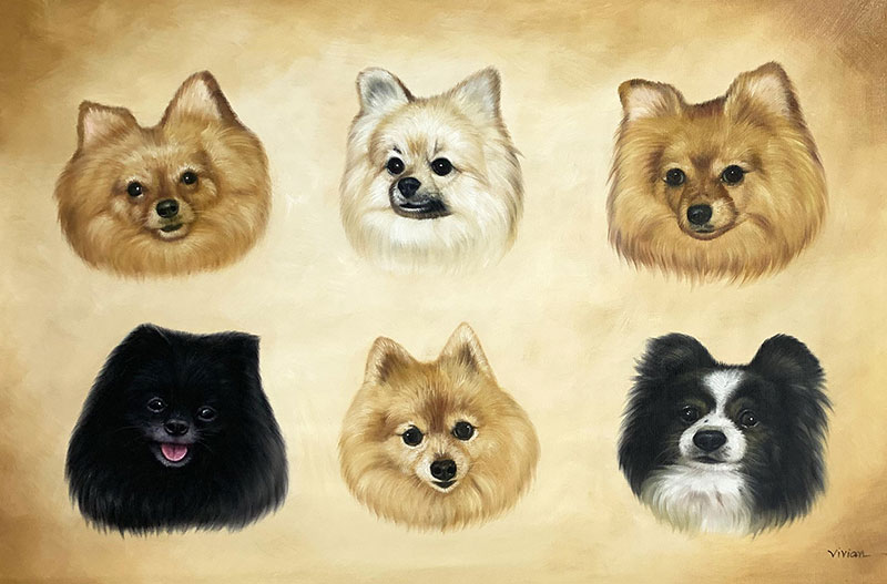 Painting of six Pomeranian dog portraits.
