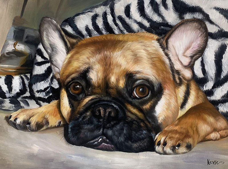 Painting of a fawn French bulldog lying under a zebra-striped blanket.