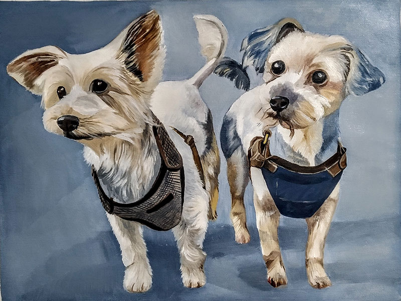 Painting of two small, light-colored dogs wearing harnesses.