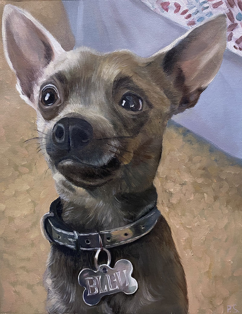Painting of a chihuahua wearing a collar with a bone-shaped tag that says BLIJ