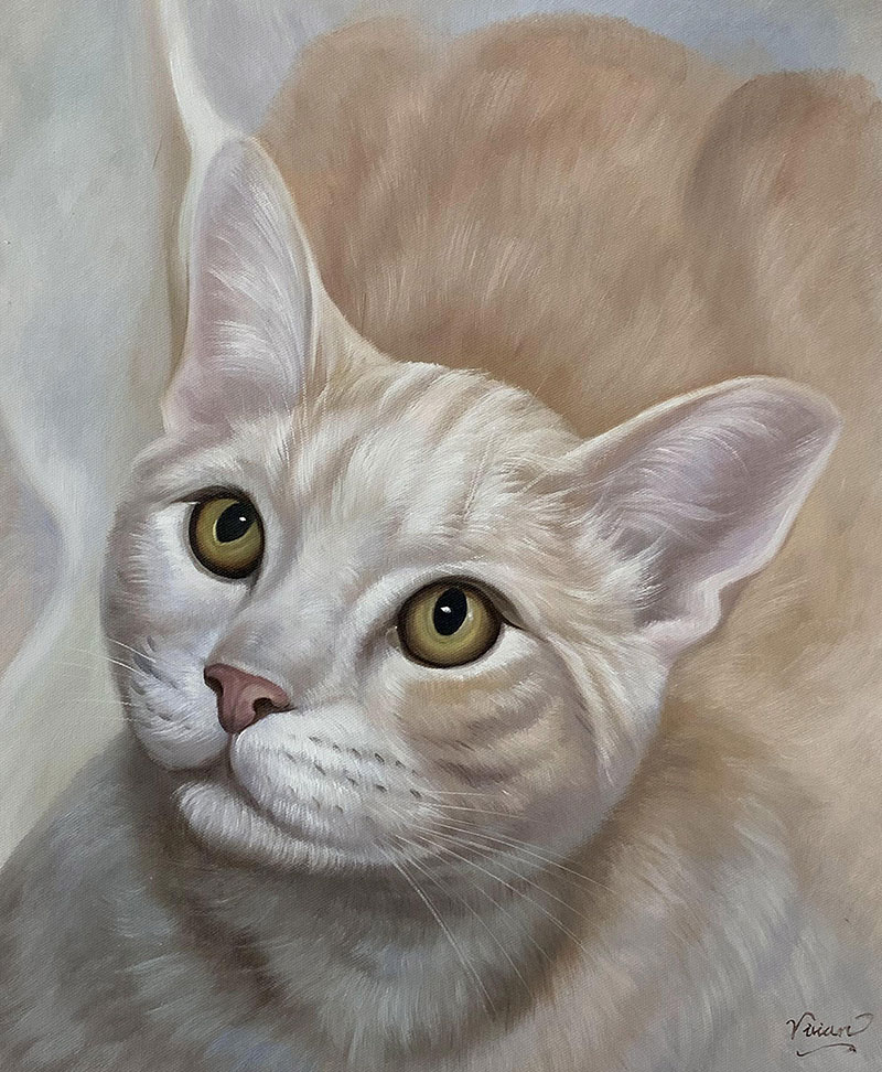 Cat Portraits Hand Painted In Oil - PaintYourLife