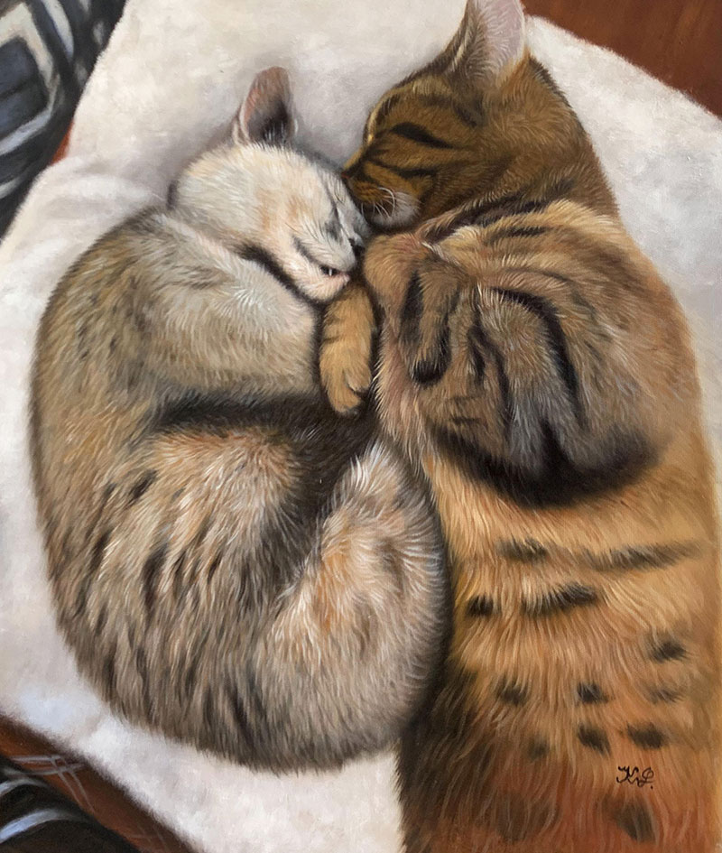Two cats cuddling on a white surface.
